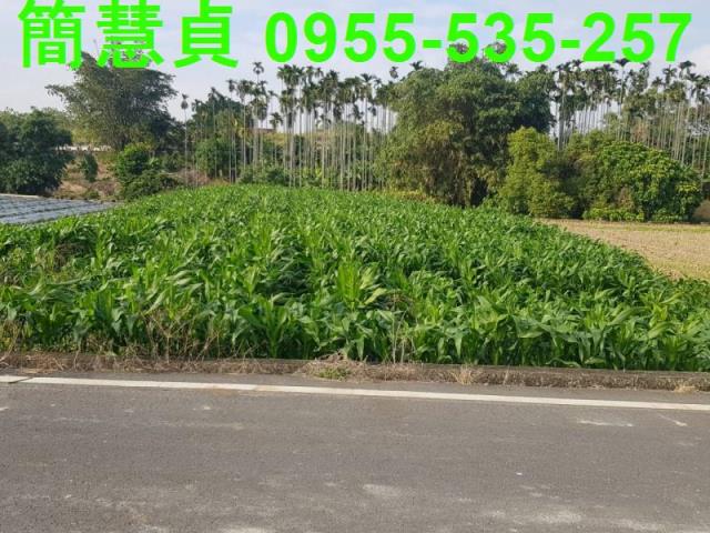南投農地-1