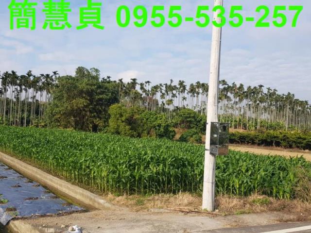 南投農地-2