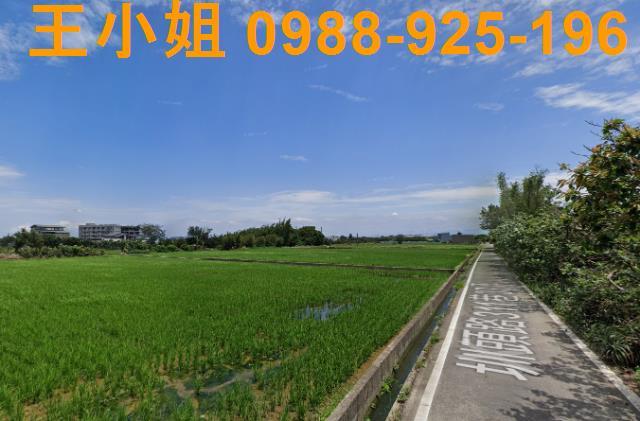 桃園大園農地-1