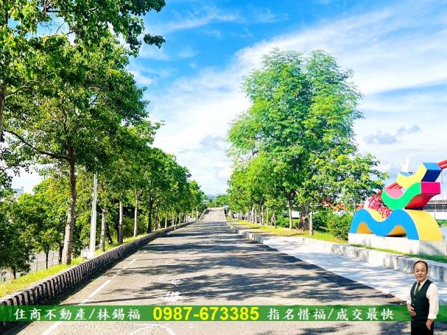 台南農地-2