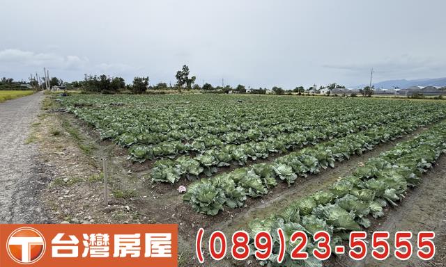 台東台東市農地-8