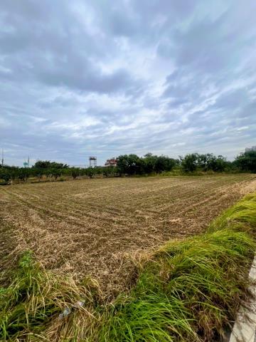 台南麻豆農地-4