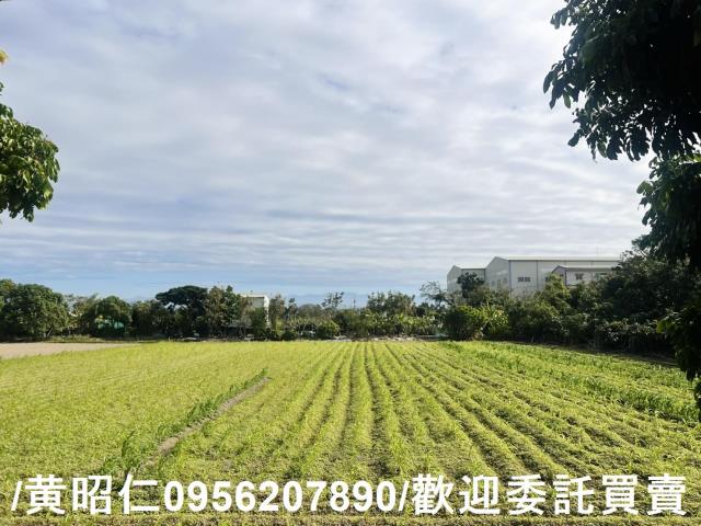 台南歸仁農地-1