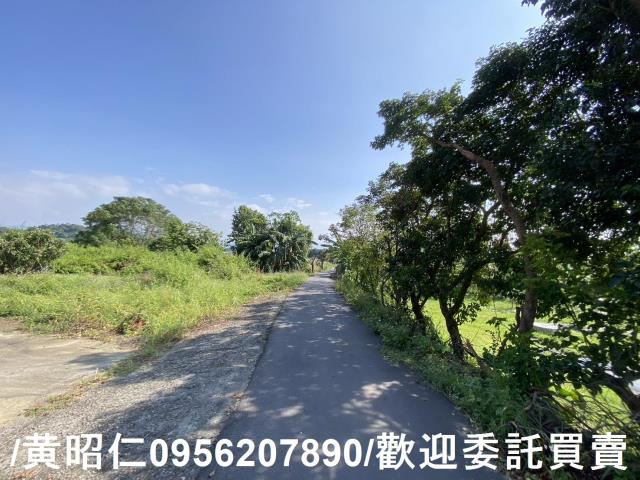 台南玉井農地-1