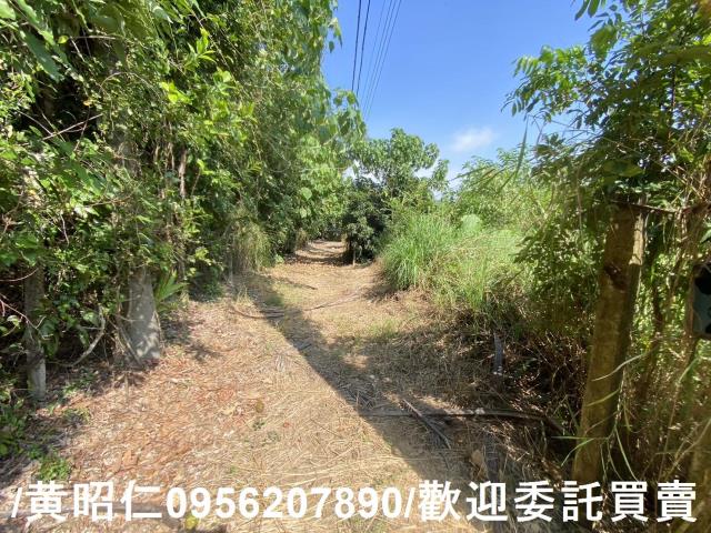 台南玉井農地-5