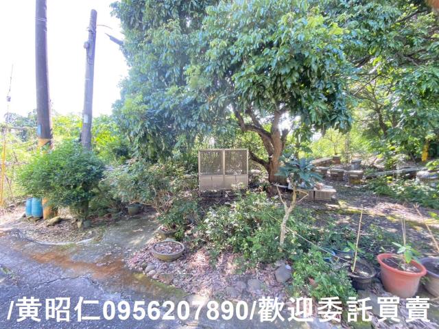 台南玉井農地-10