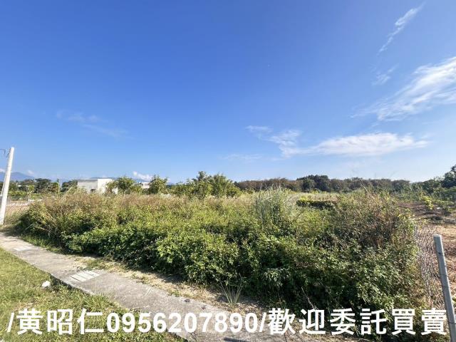 台南玉井農地-5