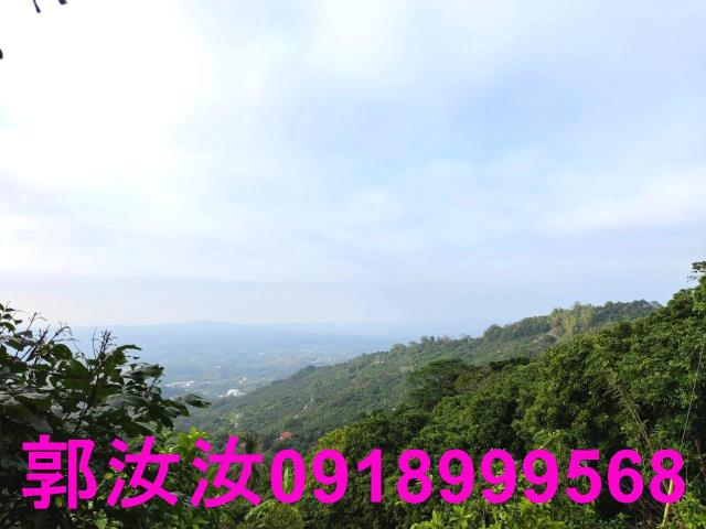 南化山坡地-11