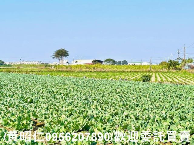 台南農地-3