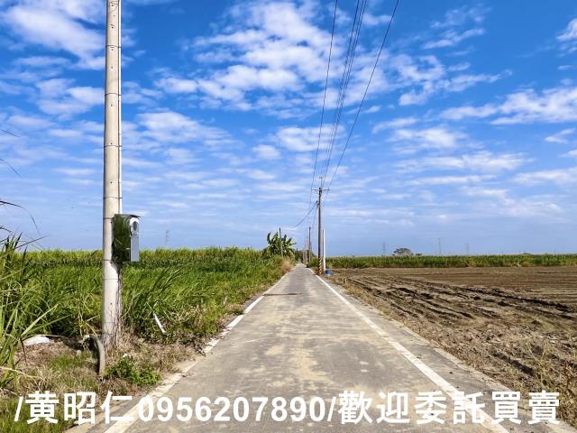 台南善化農地-3