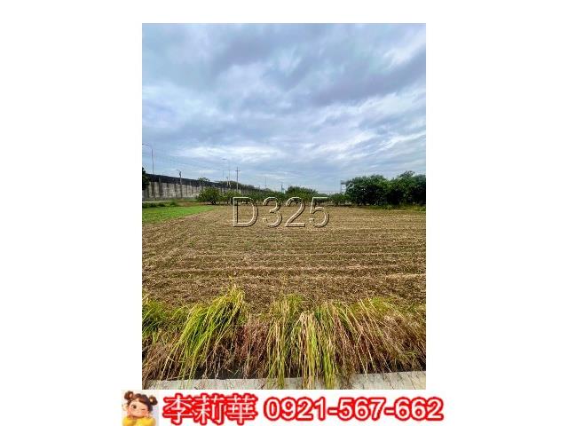 台南麻豆農地-8