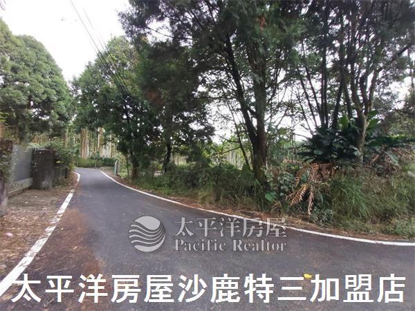 南投山坡地-10
