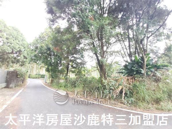 南投山坡地-2