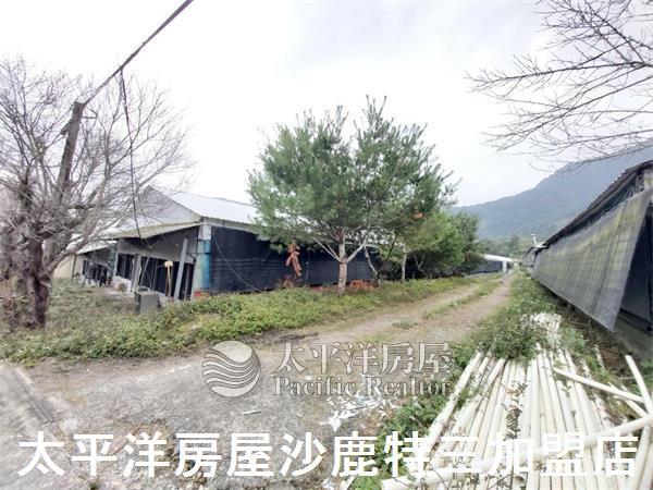 南投山坡地-3