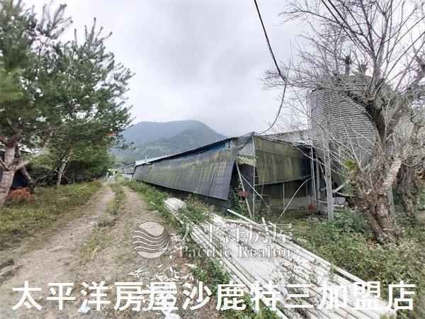 南投山坡地-6
