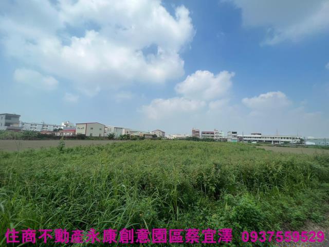台南新營農地-3