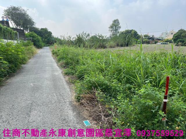 台南新營農地-4