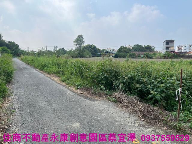 台南新營農地-5