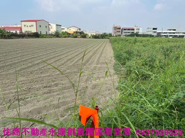 台南新營農地-6