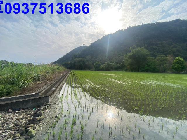 員山農地-2