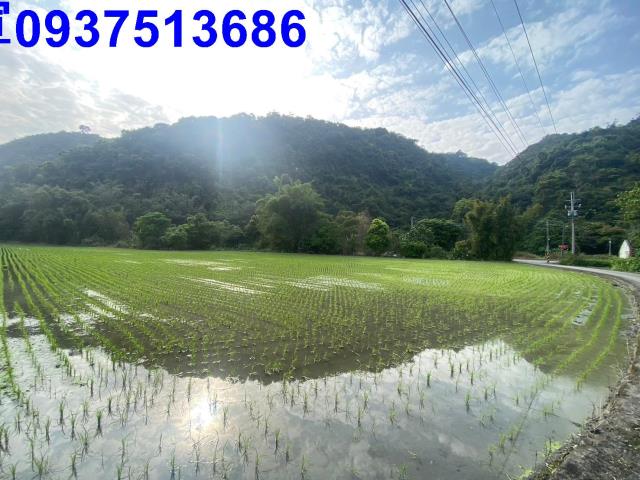 員山農地-7