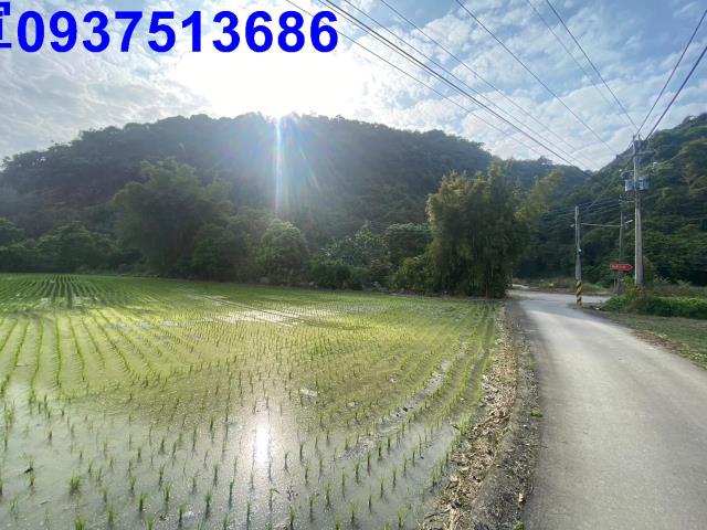 員山農地-8