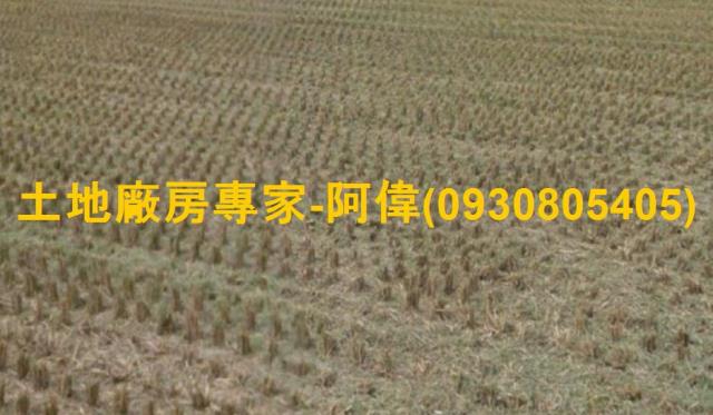 善化工業地-1