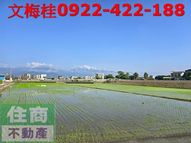 宜蘭員山農地-9