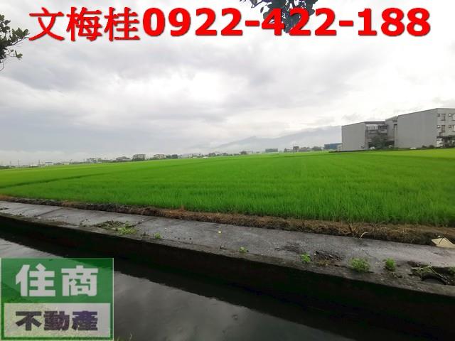 宜蘭壯圍農地-2