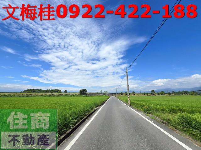 宜蘭壯圍農地-8