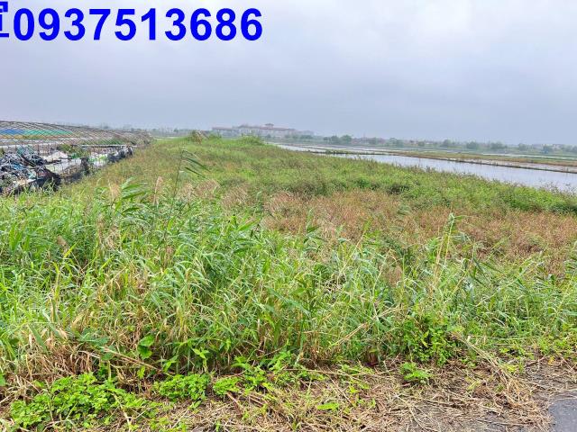 宜蘭壯圍農地-15