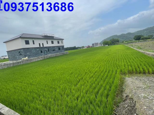 礁溪農地-8