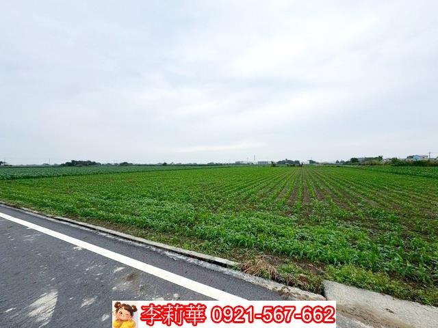 台南鹽水農地-7