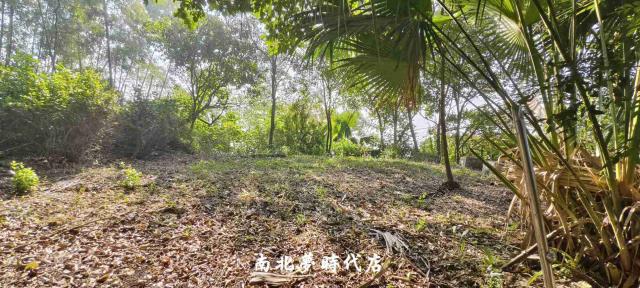 台南龍崎農地-7