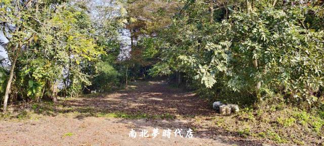 台南龍崎農地-9