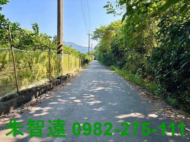 台南楠西農地-3