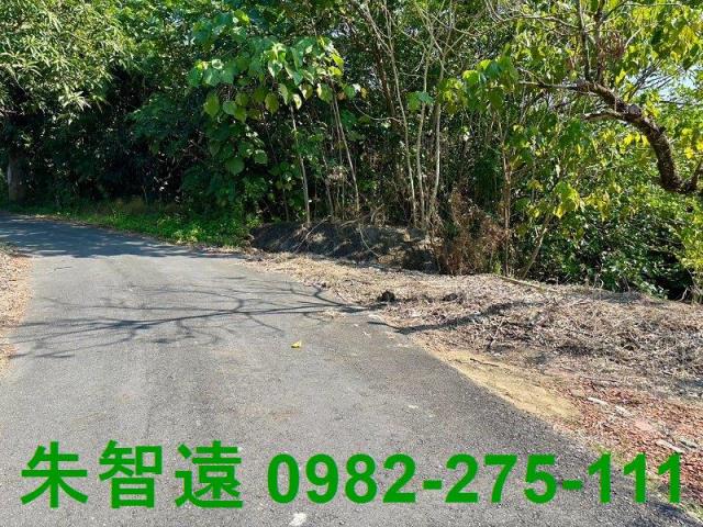 台南楠西農地-5