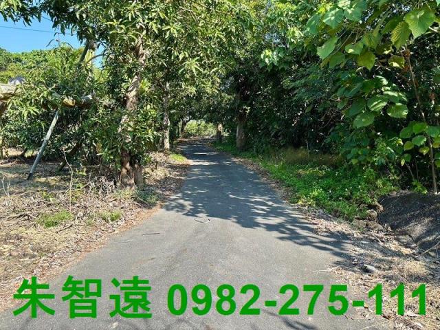 台南楠西農地-6