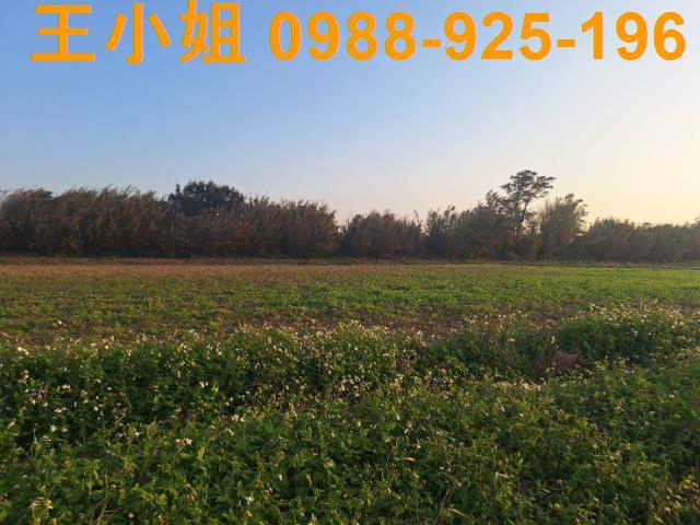 桃園觀音農地-6