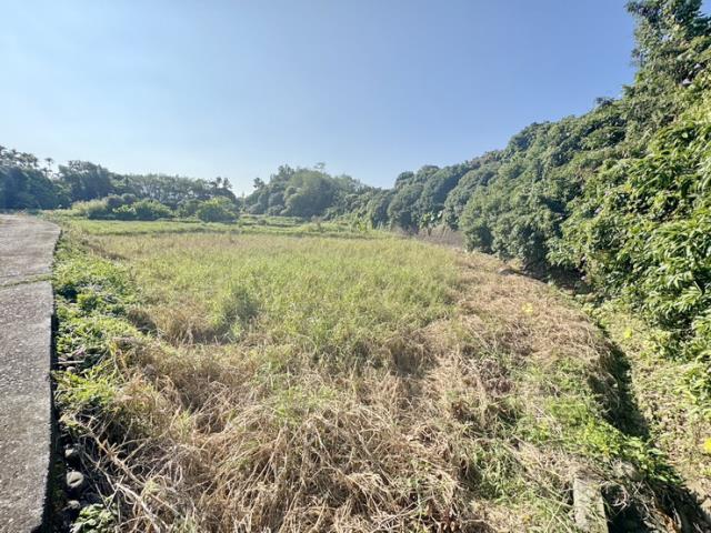 南投名間農地-6