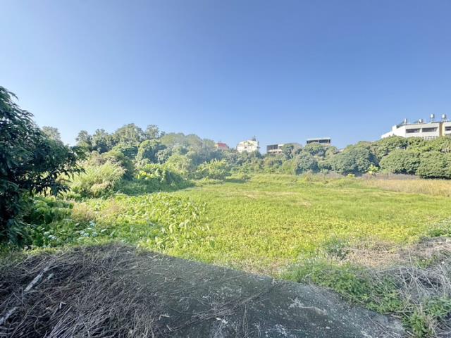 南投名間農地-7