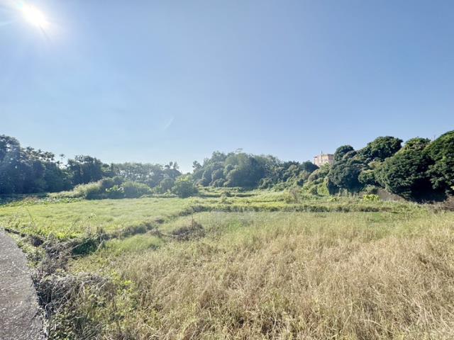 南投名間農地-9