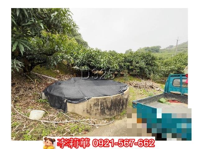 玉井農地-5