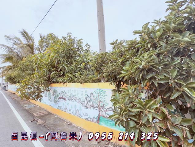 雲林水林建地-4