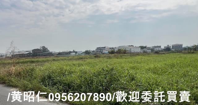 歸仁農地-6