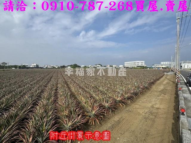 山上農地-4