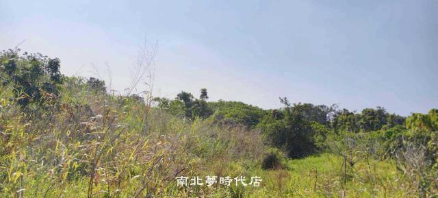 台南官田農地-2