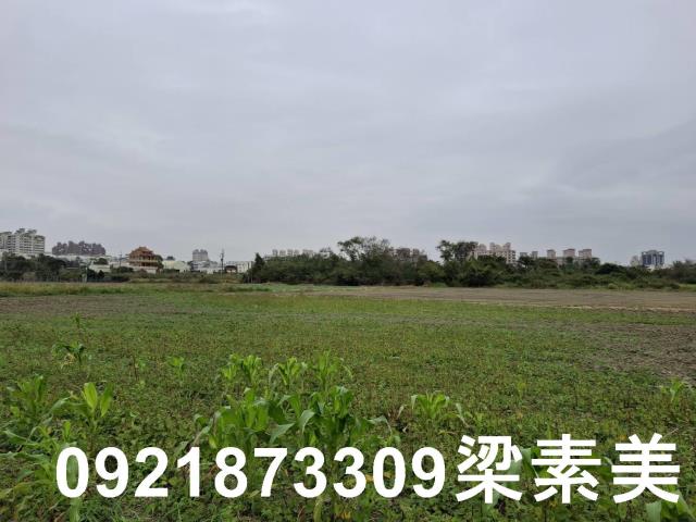 台南永康農地-2