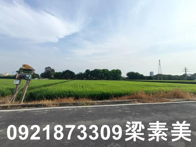 善化農地-8