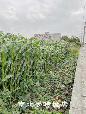台南建地-3